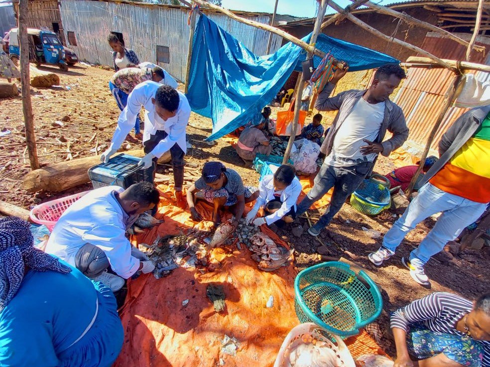 Community Empowerment